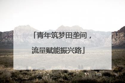 青年筑梦田垄间，流量赋能振兴路
