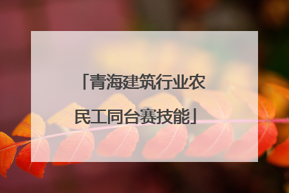 青海建筑行业农民工同台赛技能