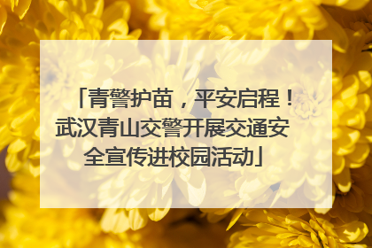 青警护苗，平安启程！武汉青山交警开展交通安全宣传进校园活动