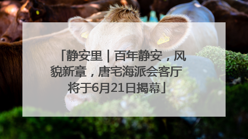 静安里｜百年静安，风貌新章，唐宅海派会客厅将于6月21日揭幕
