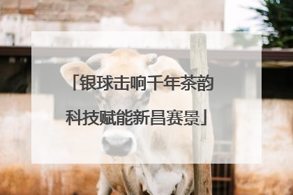 银球击响千年茶韵 科技赋能新昌赛景