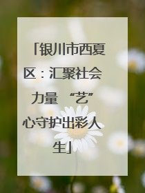 银川市西夏区：汇聚社会力量 “艺”心守护出彩人生