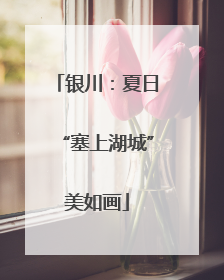 银川：夏日“塞上湖城”美如画