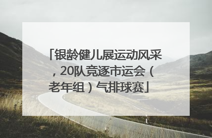 银龄健儿展运动风采，20队竞逐市运会（老年组）气排球赛