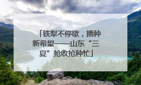铁犁不停歇，播种新希望——山东“三夏”抢收抢种忙