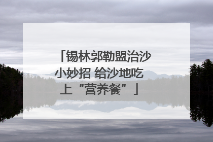 锡林郭勒盟治沙小妙招 给沙地吃上“营养餐”