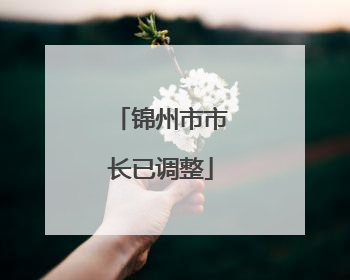 锦州市市长已调整
