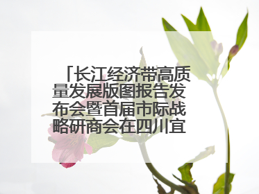 长江经济带高质量发展版图报告发布会暨首届市际战略研商会在四川宜宾成功举办
