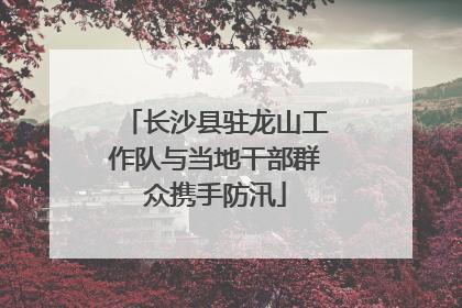 长沙县驻龙山工作队与当地干部群众携手防汛