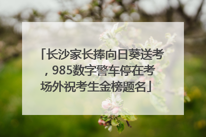 长沙家长捧向日葵送考，985数字警车停在考场外祝考生金榜题名