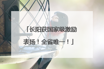 长阳获国家级激励表扬！全省唯一！