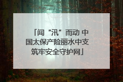 闻“汛”而动 中国太保产险丽水中支筑牢安全守护网
