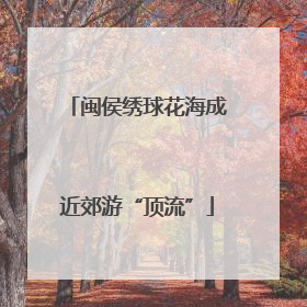 闽侯绣球花海成近郊游“顶流”