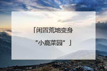 闲置荒地变身“小鹿菜园”