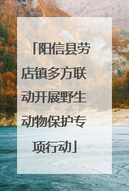 阳信县劳店镇多方联动开展野生动物保护专项行动