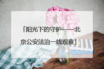 阳光下的守护——北京公安法治一线观察