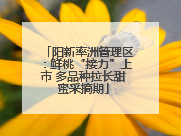 阳新率洲管理区：鲜桃“接力”上市 多品种拉长甜蜜采摘期