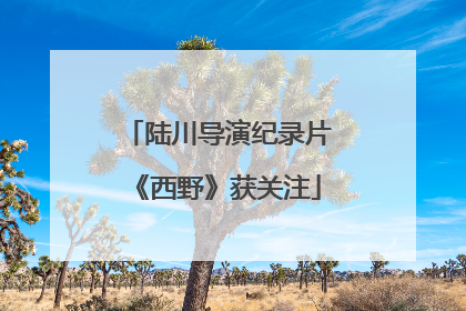 陆川导演纪录片《西野》获关注