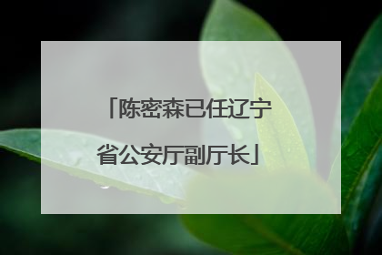 陈密森已任辽宁省公安厅副厅长