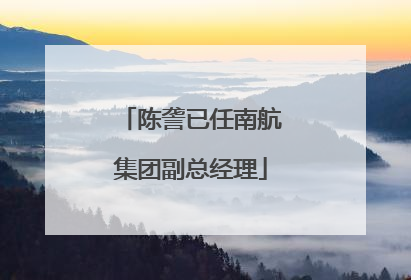 陈詟已任南航集团副总经理