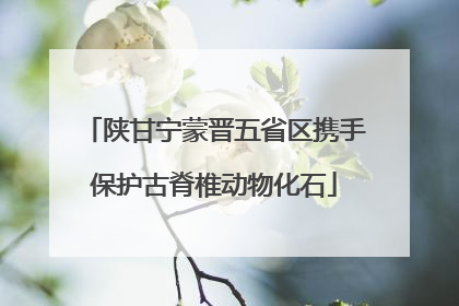 陕甘宁蒙晋五省区携手保护古脊椎动物化石