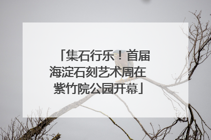 集石行乐！首届海淀石刻艺术周在紫竹院公园开幕