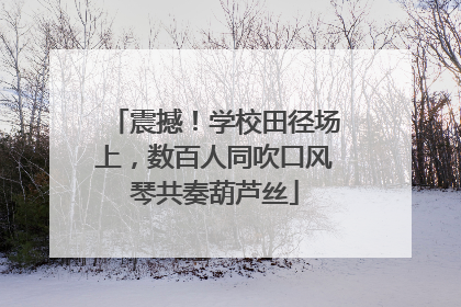 震撼！学校田径场上，数百人同吹口风琴共奏葫芦丝