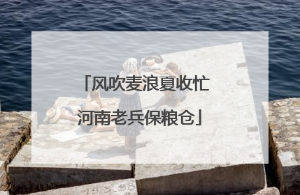 风吹麦浪夏收忙 河南老兵保粮仓