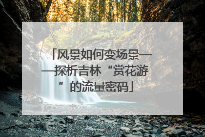 风景如何变场景——探析吉林“赏花游”的流量密码