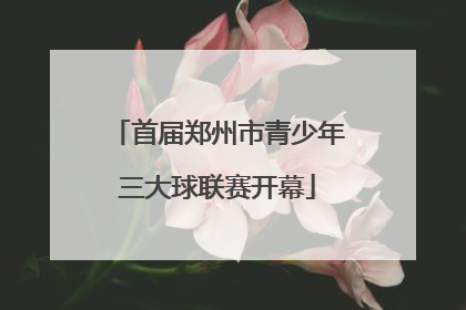 首届郑州市青少年三大球联赛开幕