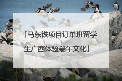 马东铁项目订单班留学生广西体验端午文化