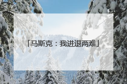 马斯克：我进退两难