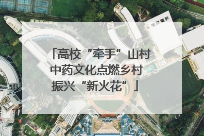 高校“牵手”山村 中药文化点燃乡村振兴“新火花”