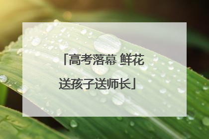 高考落幕 鲜花送孩子送师长