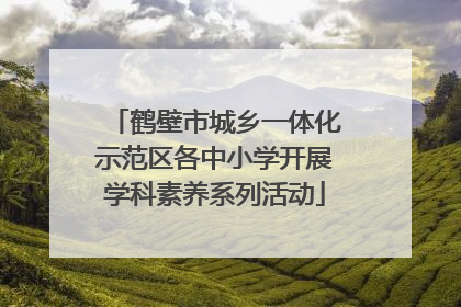 鹤壁市城乡一体化示范区各中小学开展学科素养系列活动