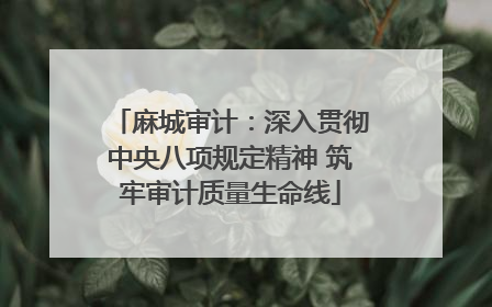 麻城审计：深入贯彻中央八项规定精神 筑牢审计质量生命线