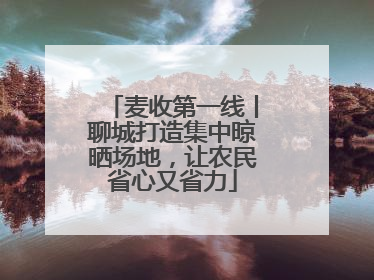麦收第一线丨聊城打造集中晾晒场地，让农民省心又省力