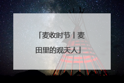 麦收时节丨麦田里的观天人