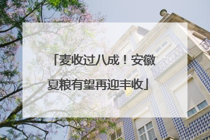 麦收过八成！安徽夏粮有望再迎丰收