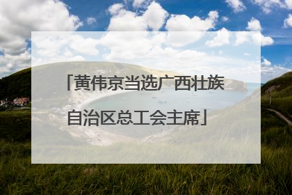 黄伟京当选广西壮族自治区总工会主席