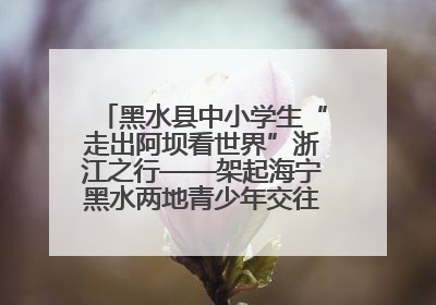 黑水县中小学生“走出阿坝看世界”浙江之行——架起海宁黑水两地青少年交往交流交融新桥梁