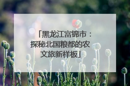 黑龙江富锦市：探秘北国粮都的农文旅新样板