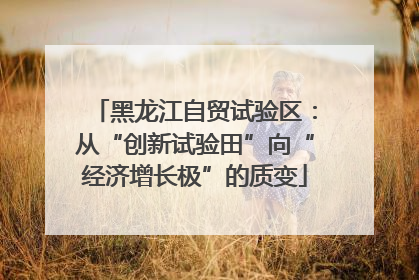 黑龙江自贸试验区：从“创新试验田”向“经济增长极”的质变
