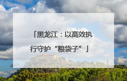 黑龙江：以高效执行守护“粮袋子”