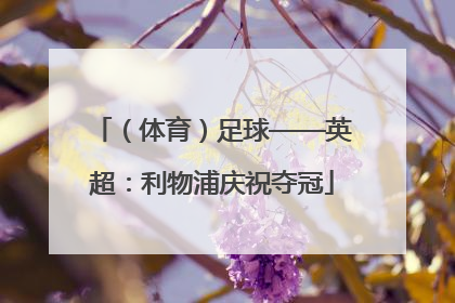 （体育）足球——英超：利物浦庆祝夺冠