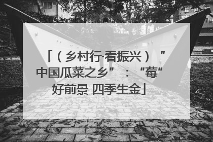 （乡村行·看振兴）“中国瓜菜之乡”：“莓”好前景 四季生金