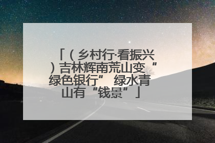 （乡村行·看振兴）吉林辉南荒山变“绿色银行” 绿水青山有“钱景”