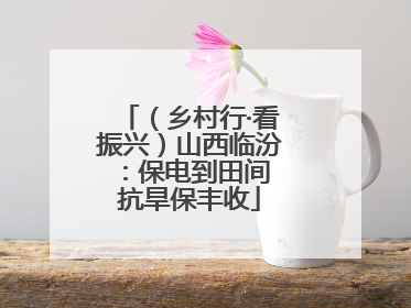 （乡村行·看振兴）山西临汾：保电到田间 抗旱保丰收