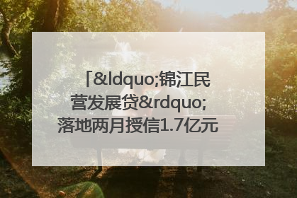 “锦江民营发展贷”落地两月授信1.7亿元，惠及118家民企