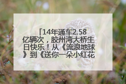 14年通车2.58亿辆次，胶州湾大桥生日快乐！从《流浪地球》到《送你一朵小红花》，爆款标配
